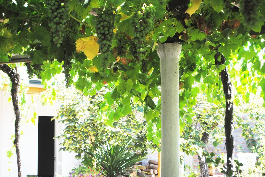 Hostal Petit Verdot Santa Cruz Ngoại thất bức ảnh